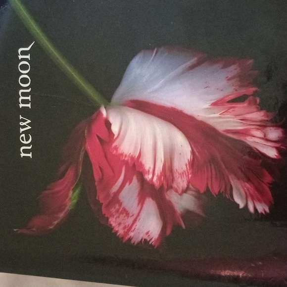 Chronicle Books Other - New Moon